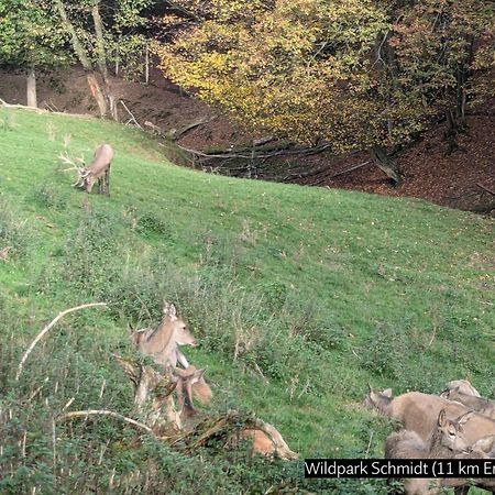 Eifel-Ferienhaus Landblick Hurtgenwald Bagian luar foto