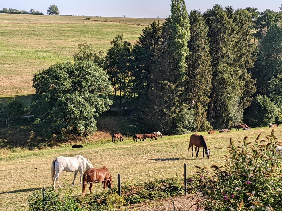 Eifel-Ferienhaus Landblick Hurtgenwald Bagian luar foto