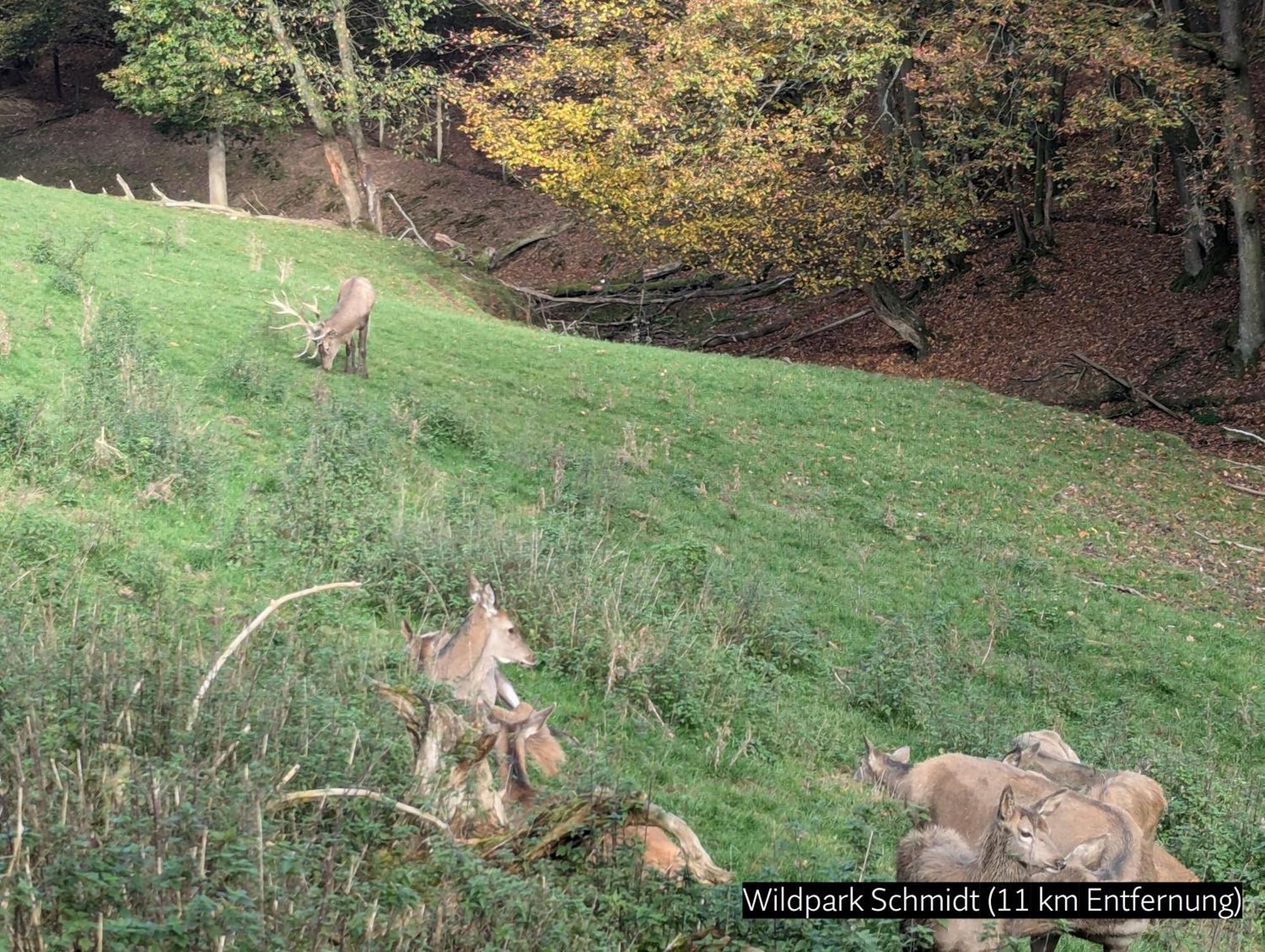 Eifel-Ferienhaus Landblick Hurtgenwald Bagian luar foto